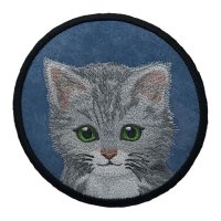 Sweet Gray Kitten Blue Coaster