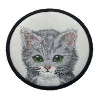 Sweet Gray Kitten White Coaster