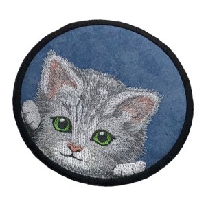 Here Kitty, Kitty Gray Kitten Blue Coaster