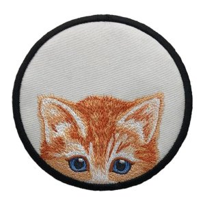 Here Kitty, Kitty Tabby Kitten White Coaster