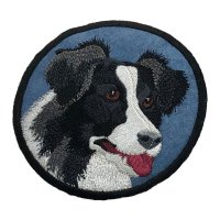 Border Collie Blue Coaster