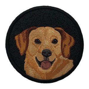 Red Golden Retriever Black Coaster