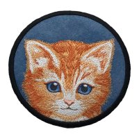 Sweet Tabby Kitten Blue Coaster