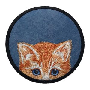 Here Kitty, Kitty Tabby Kitten Blue Coaster