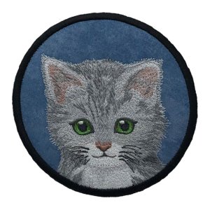 Sweet Gray Kitten Blue Coaster